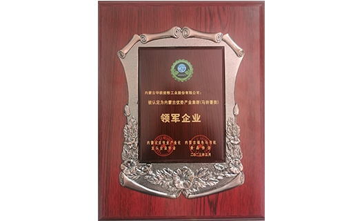 內(nèi)蒙古優(yōu)勢產(chǎn)業(yè)集群（馬鈴薯類）領軍企業(yè)